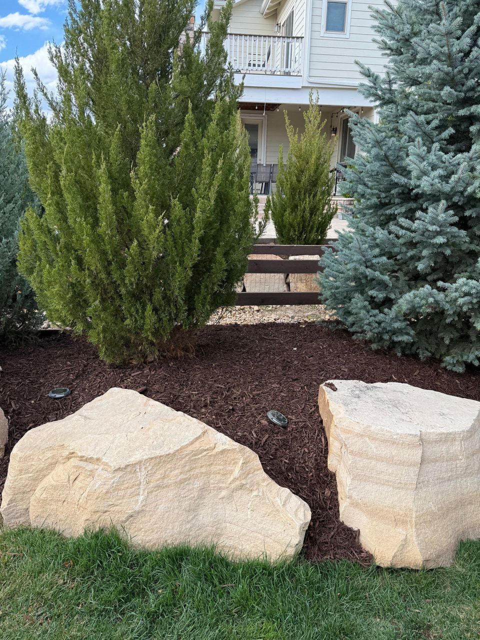 Planting project 15