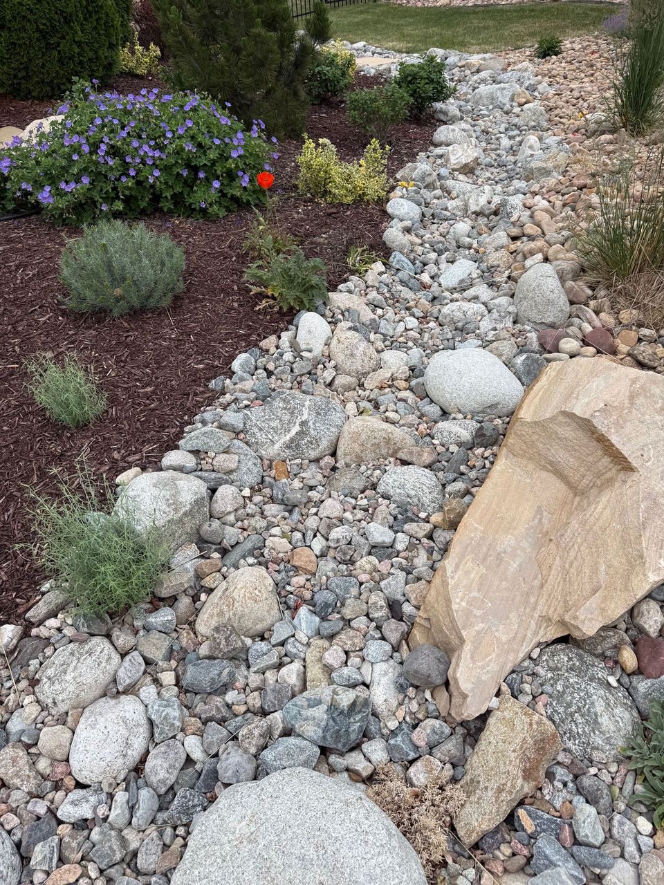 Xeriscaping project