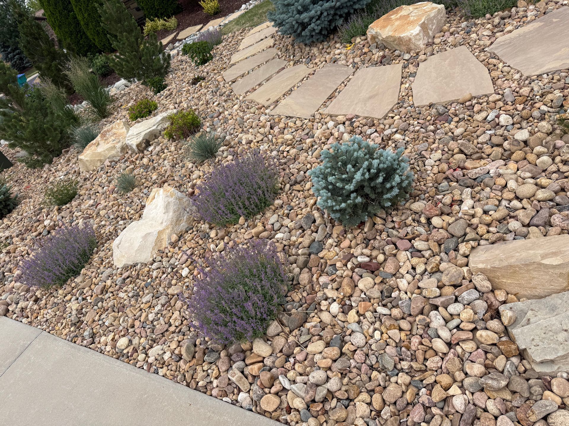 Fort Collins renovation