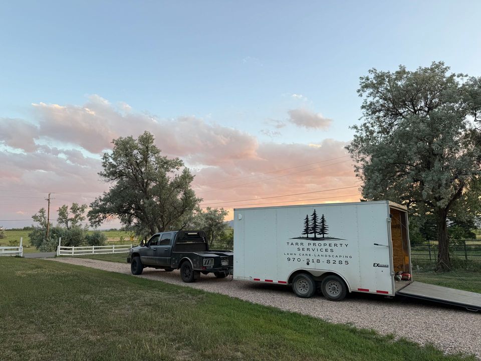 Landscape renovation project 11