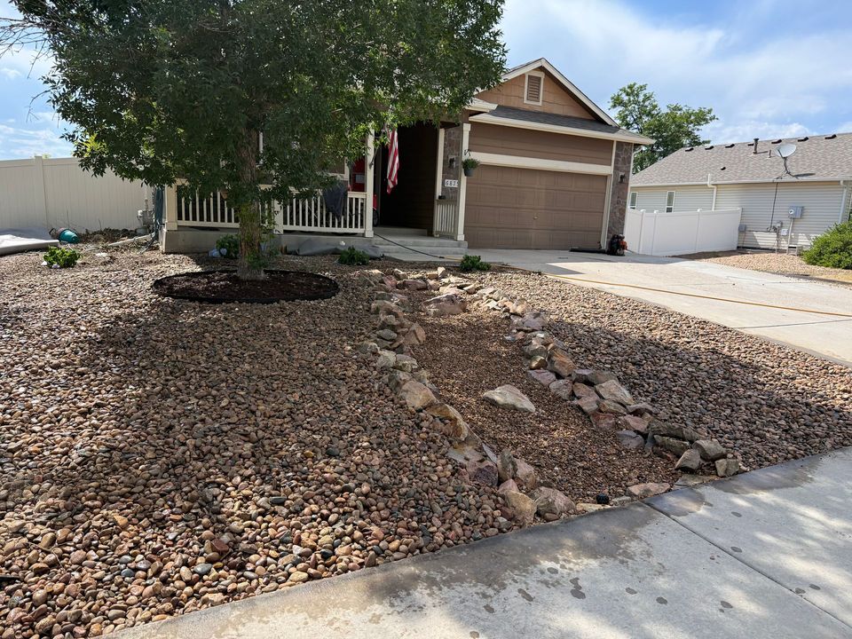 Xeriscaping project
