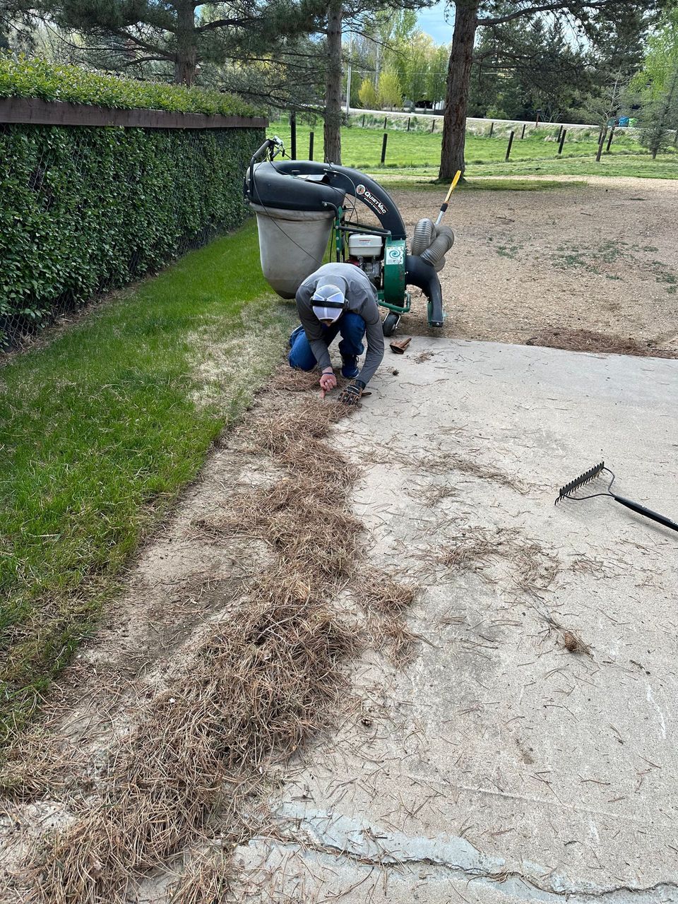 Property maintenance project