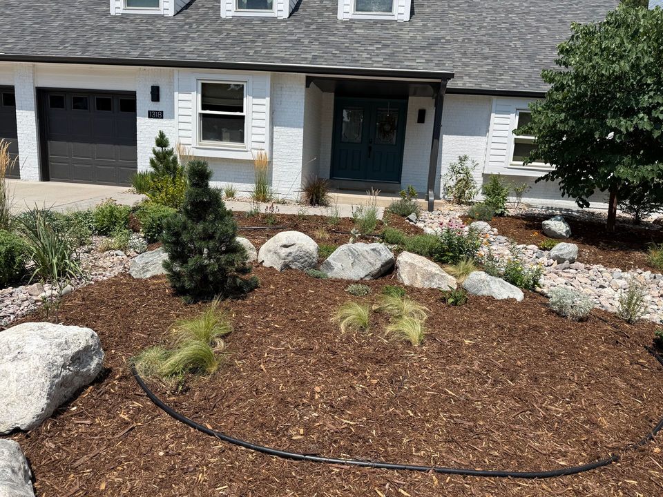 Landscape renovation project
