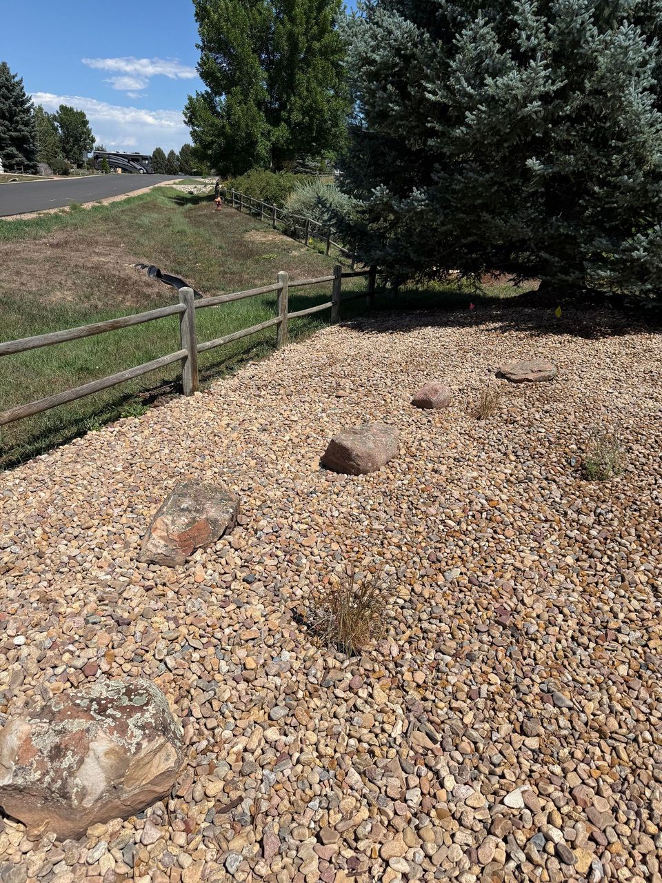 Xeriscaping project