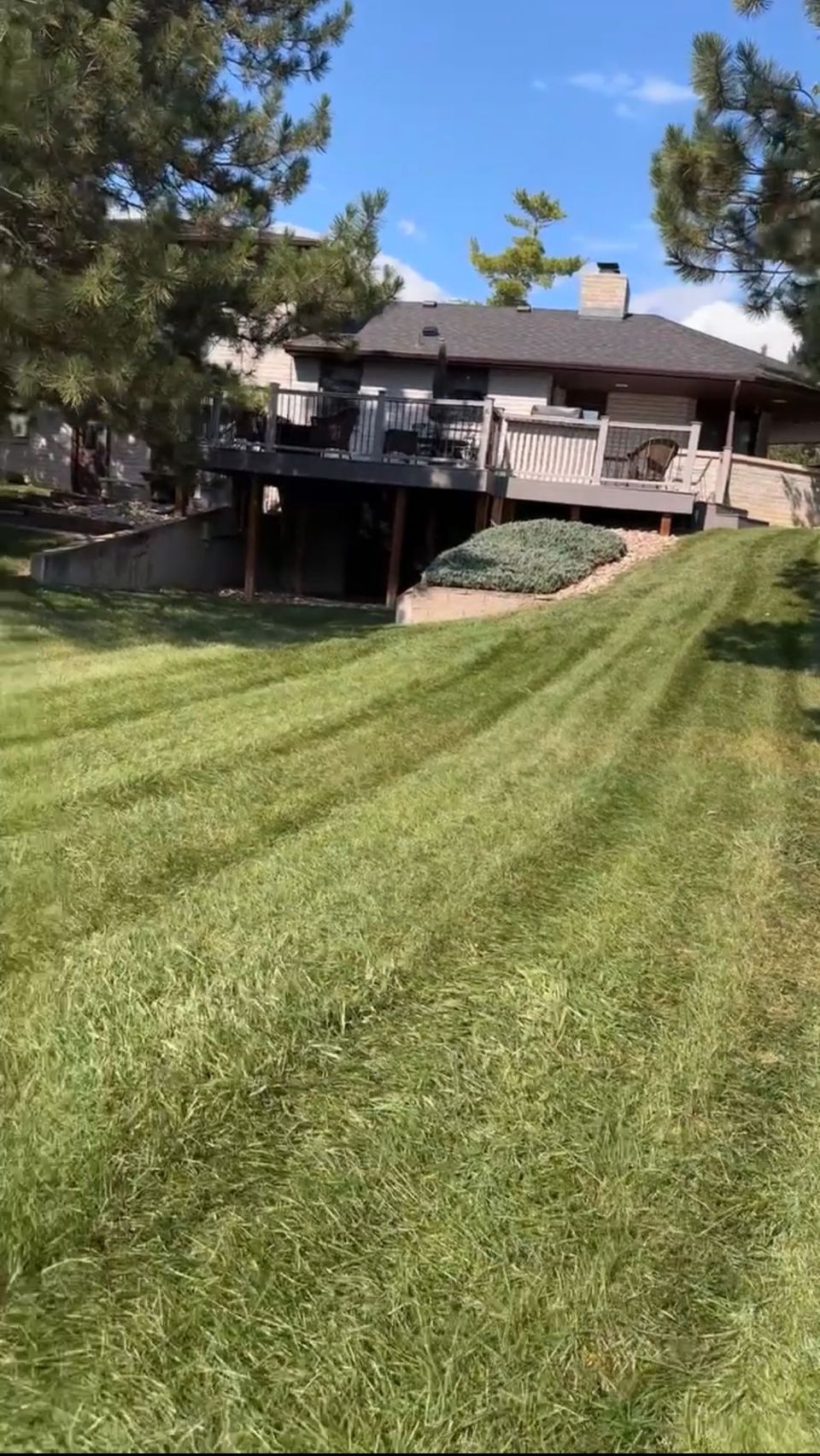 Lawn care project
