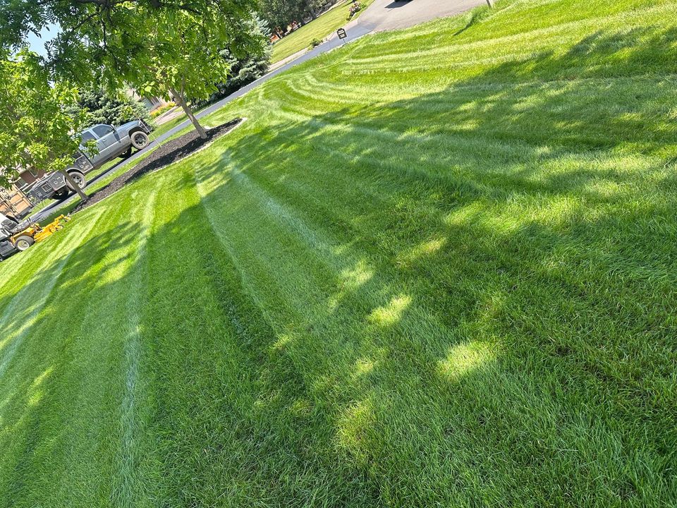 Lawn care project