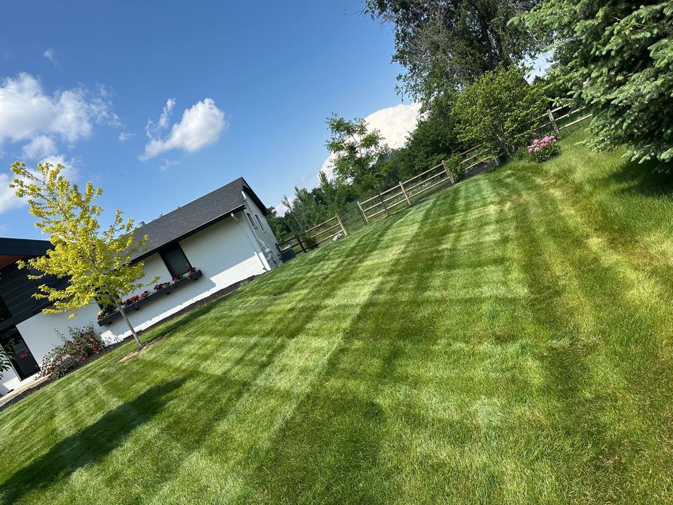 Lawn care project