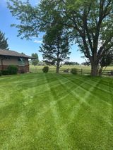 Lawn and property improvement project