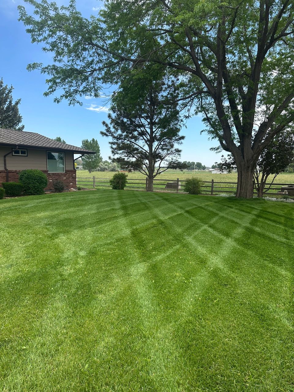 Lawn care project