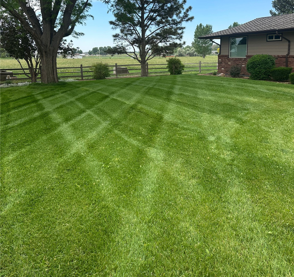 Healthy green lawn with landscaped borders