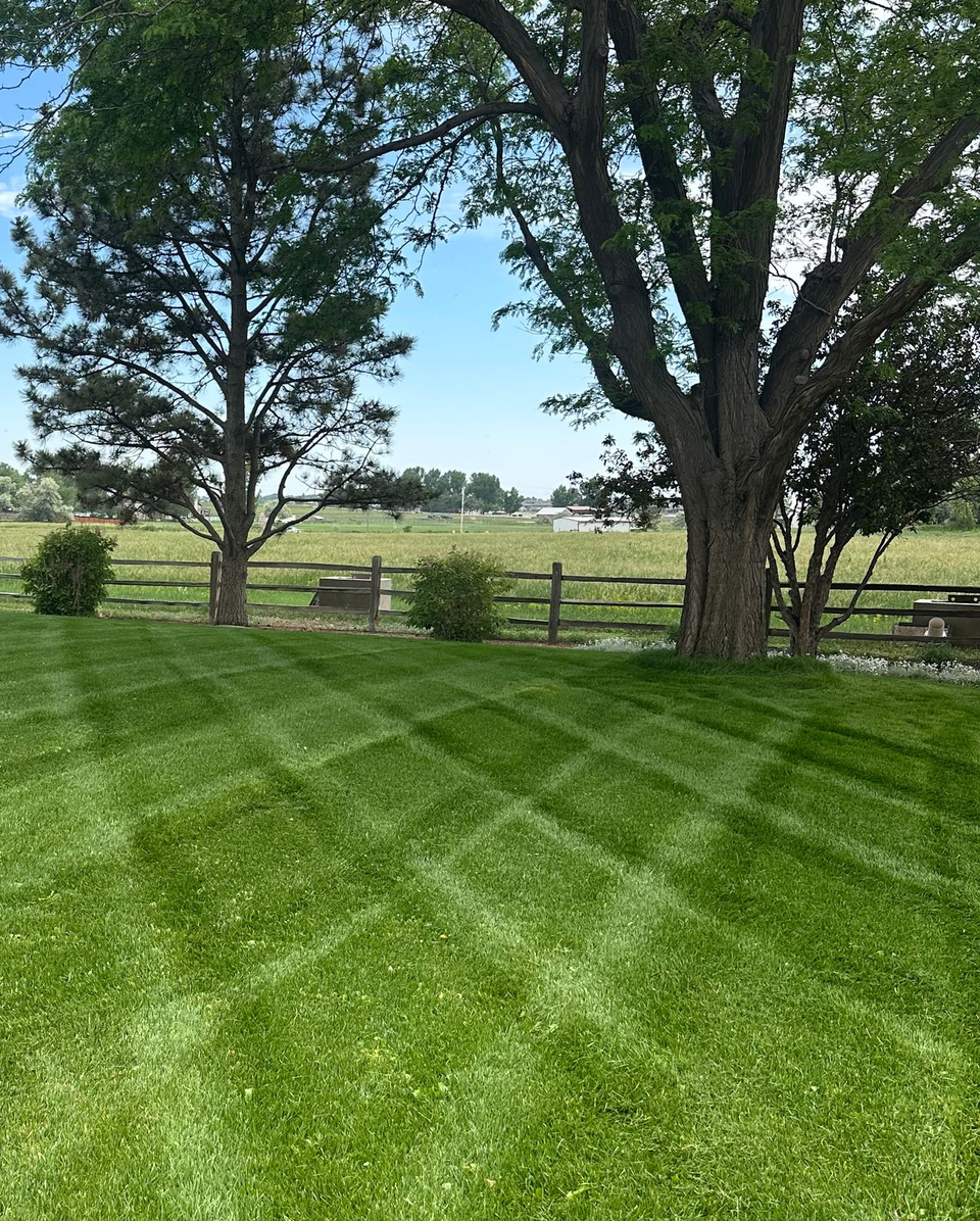 Lawn care project