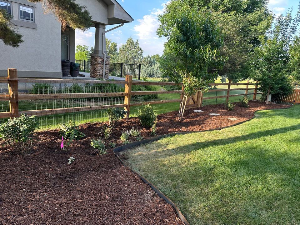 Drought-tolerant planting