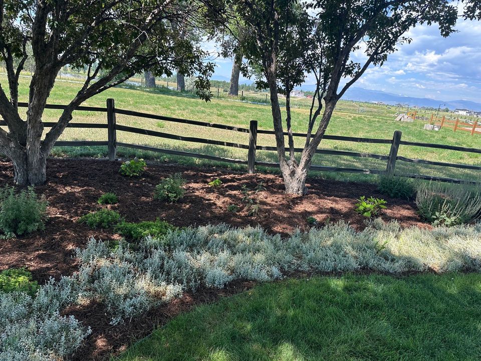 Clean Edging