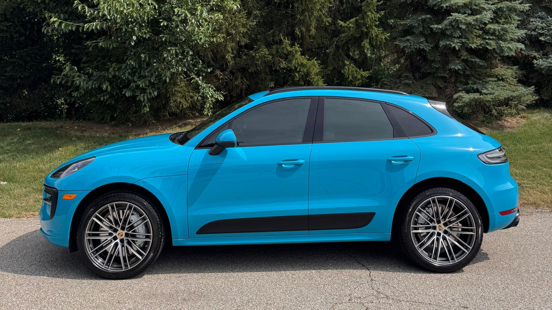 A vibrant blue Porsche Macan SUV parked on a gravel path in front of tall green pine trees.