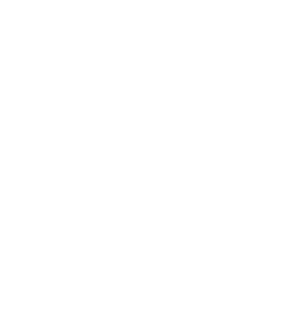 Vortex Detail