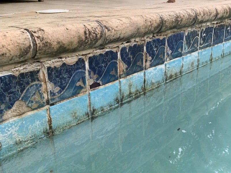 Cracked, stained waterline tile and coping on a Charleston, SC pool needing repairs