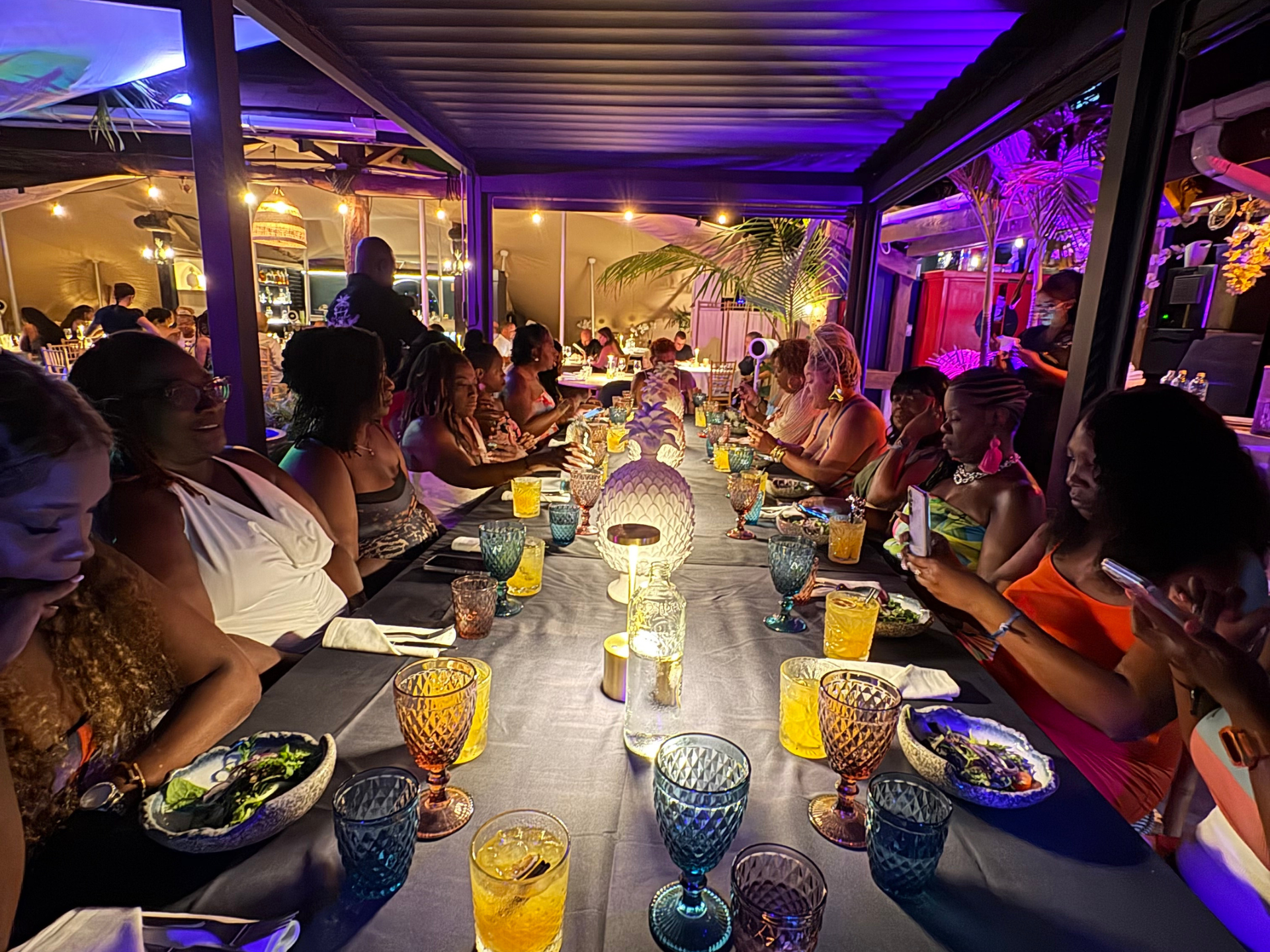 Outdoor dinner party at a long table lit with purple lights, guests seated in a lively evening setting