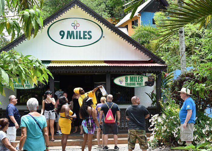 Take a Day Trip to Bob Marley's Nine Mile