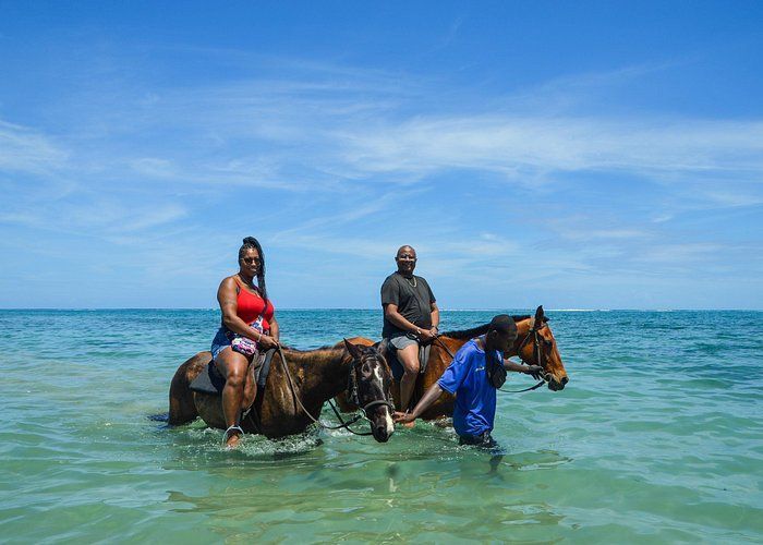  Go Horseback Riding in the Caribbean Sea