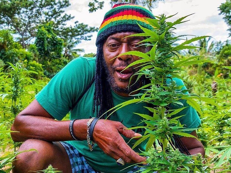 Experience Rastafarian Culture on an ATV Adventure
