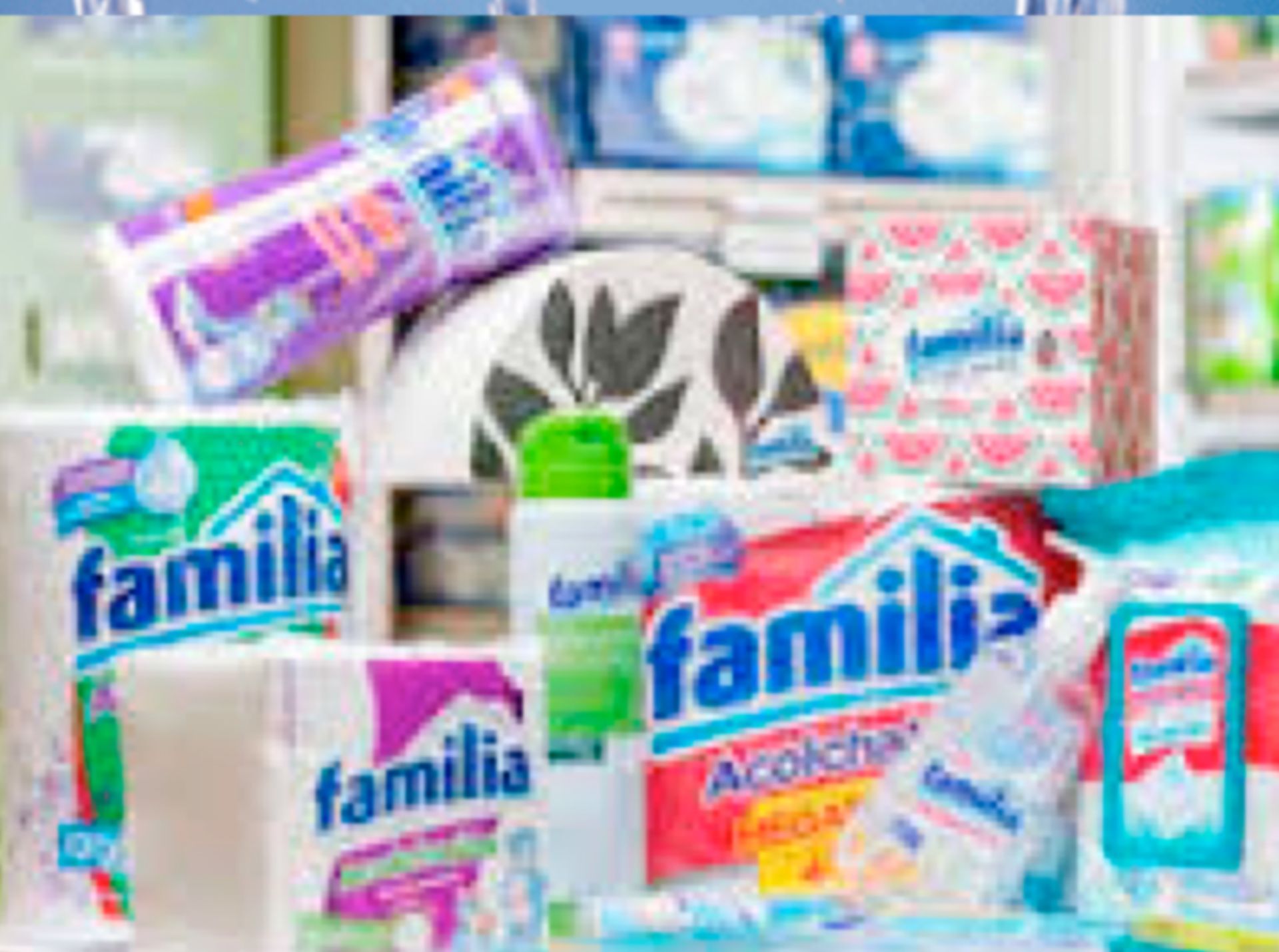 Productos de aseo