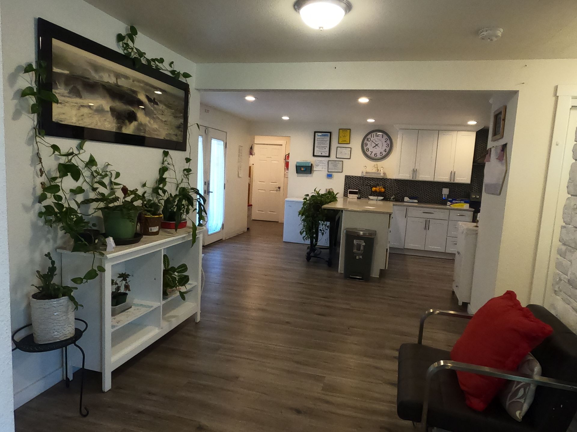 Living space with kitchen in background; plants, shelving, and a seating area.