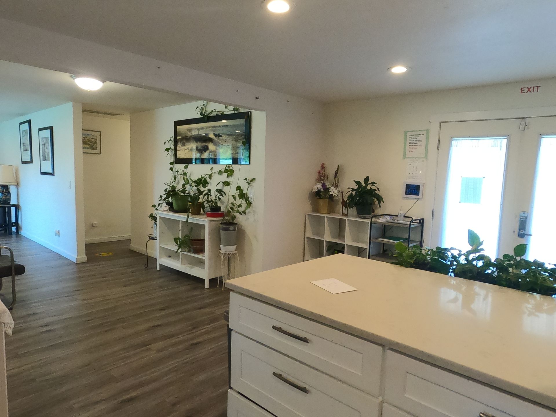 Interior view of a room with a white kitchen island, plants, and french doors. The floor is wood-like.
