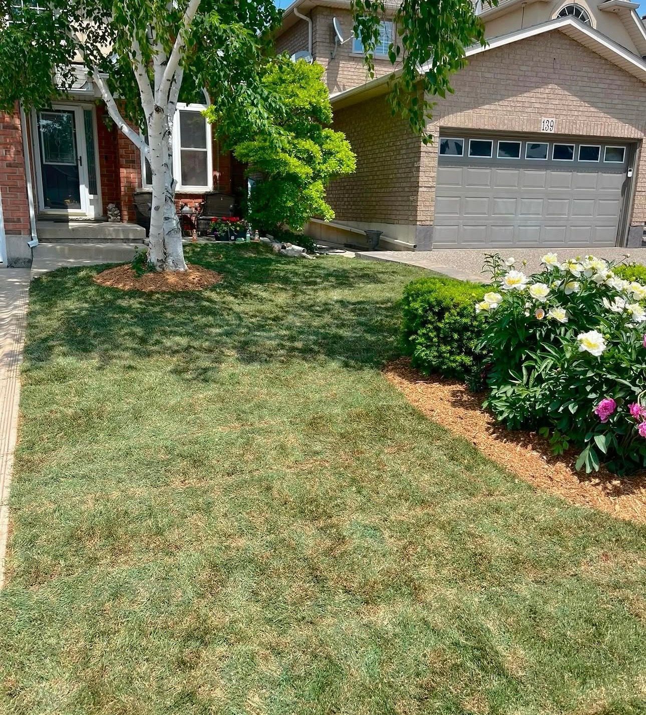 sod installation near me