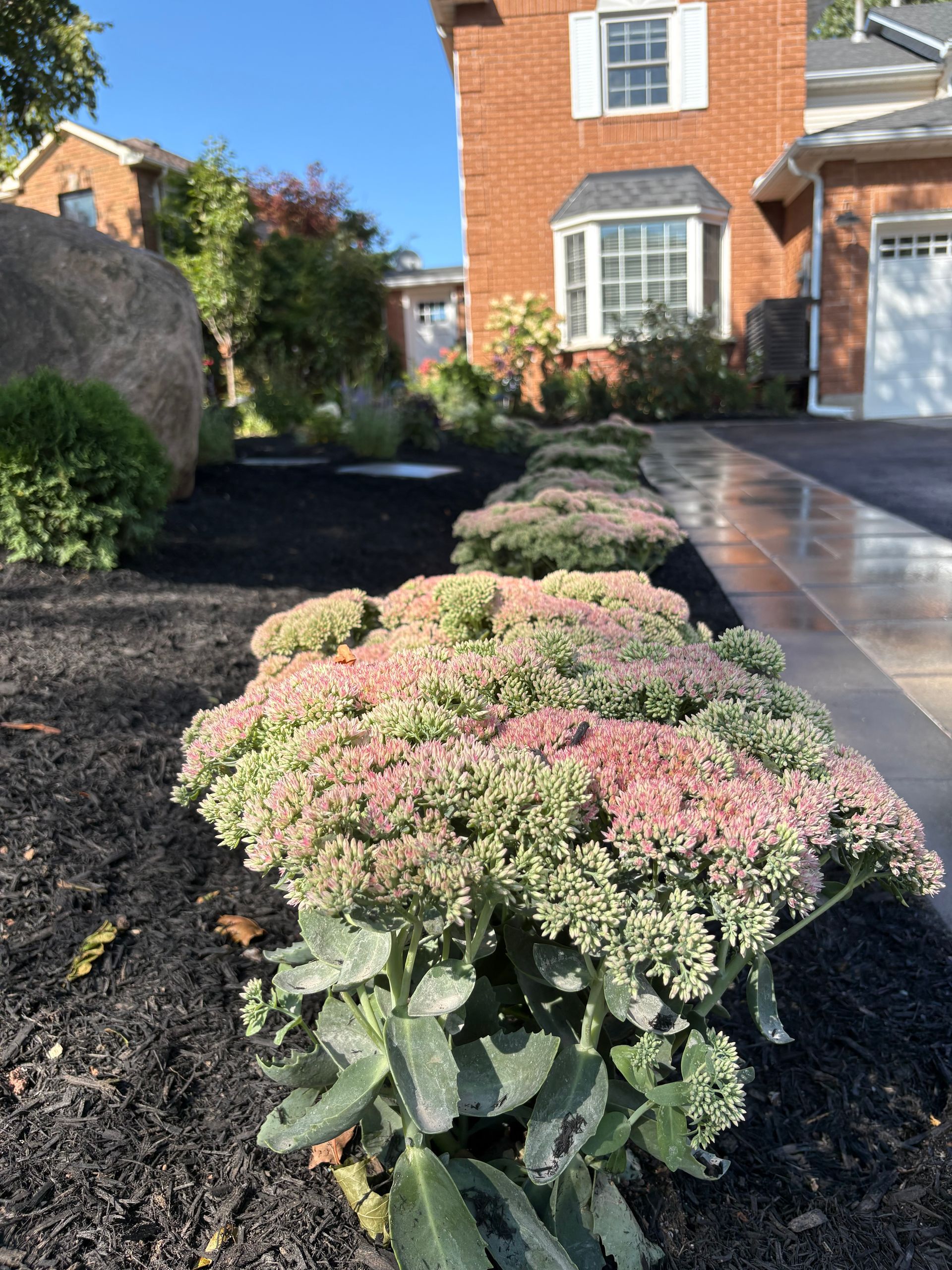 garden design and install grimsby monarch landscaping