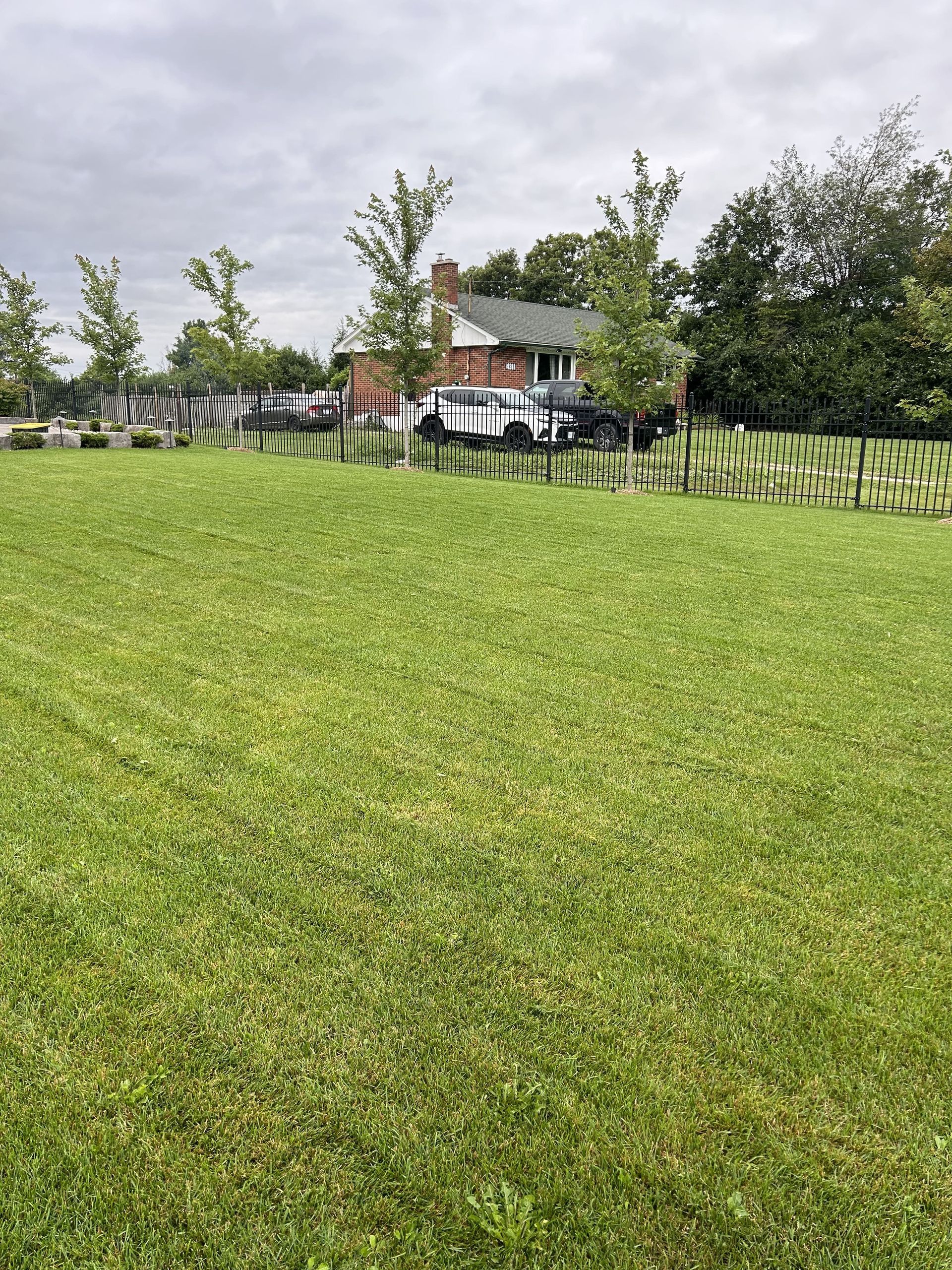 A large lush green field with a house in the background.