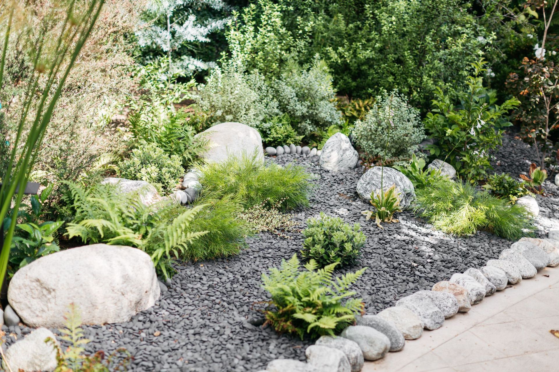 A garden filled with rocks , plants and ferns.