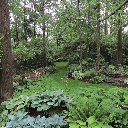 A garden filled with lots of plants and trees