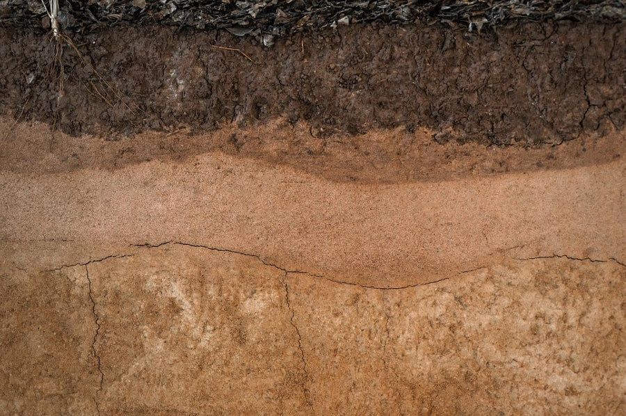 clay dirt