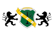 Chidsey Landscape & Design landscape contractor in Medina, Ohio
