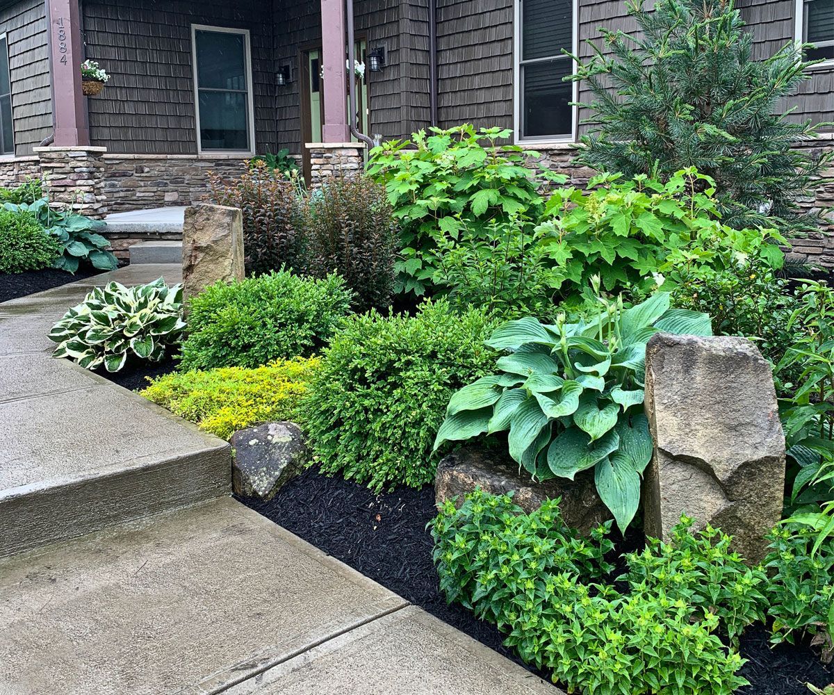 Front entrance walkway of Medina, OH home filled with lush ornamental shrubs, hostas, and evergreens with natural landscape barnstone pillars.