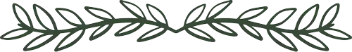 Black leafy vine border in a horizontal line on a white background