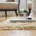 Vacuum cleaner head on a beige shag rug in a living room