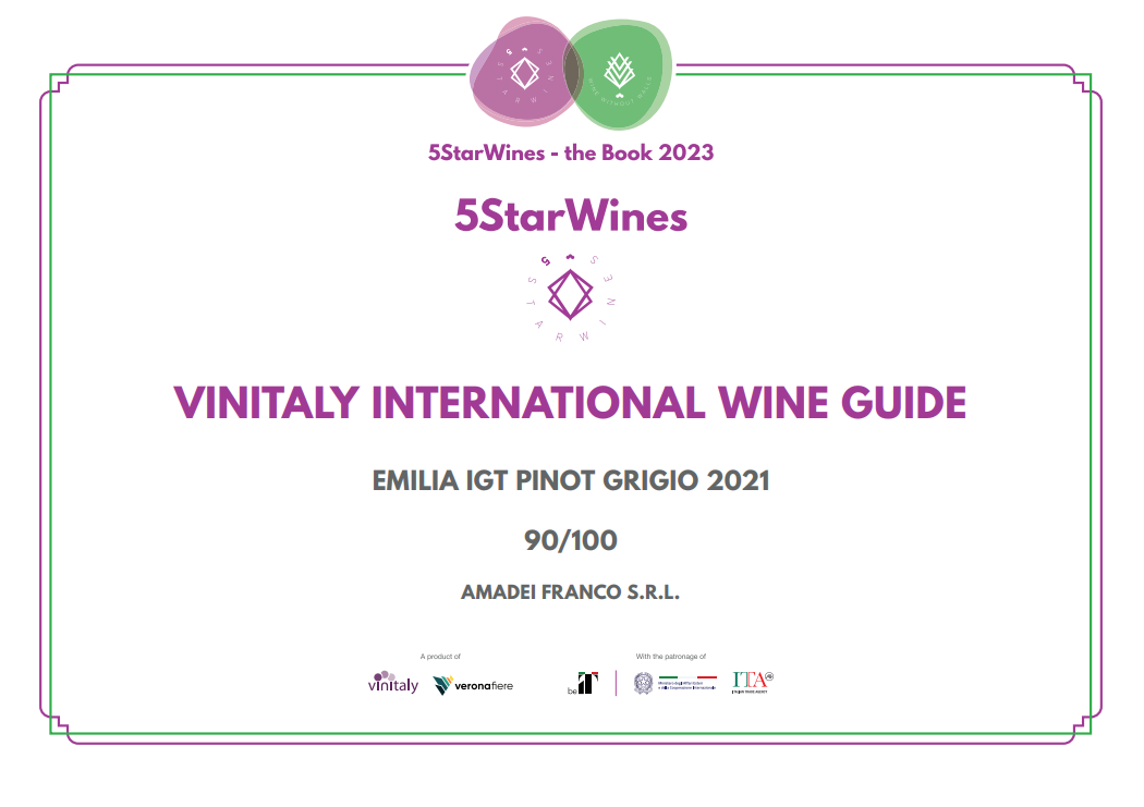Certificato di riconoscimento Vinality International Wine Guide per Emiia IGT Pinot Grigio 2021, punteggio 90/100