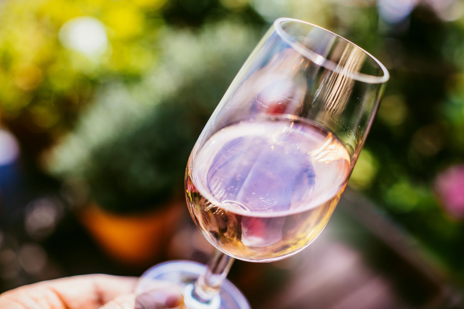 Una mano che regge un calice di vino rosato inclinato, sullo sfondo sfocato di un giardino.