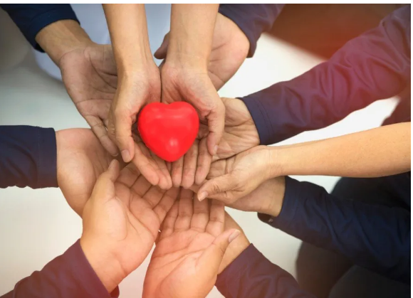 Hands cupping a red heart, symbolizing care and support.