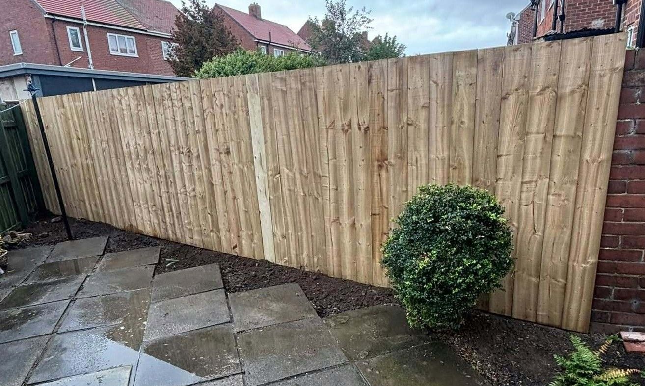 Backyard with new wooden fence, wet paving stones, and a small round shrub