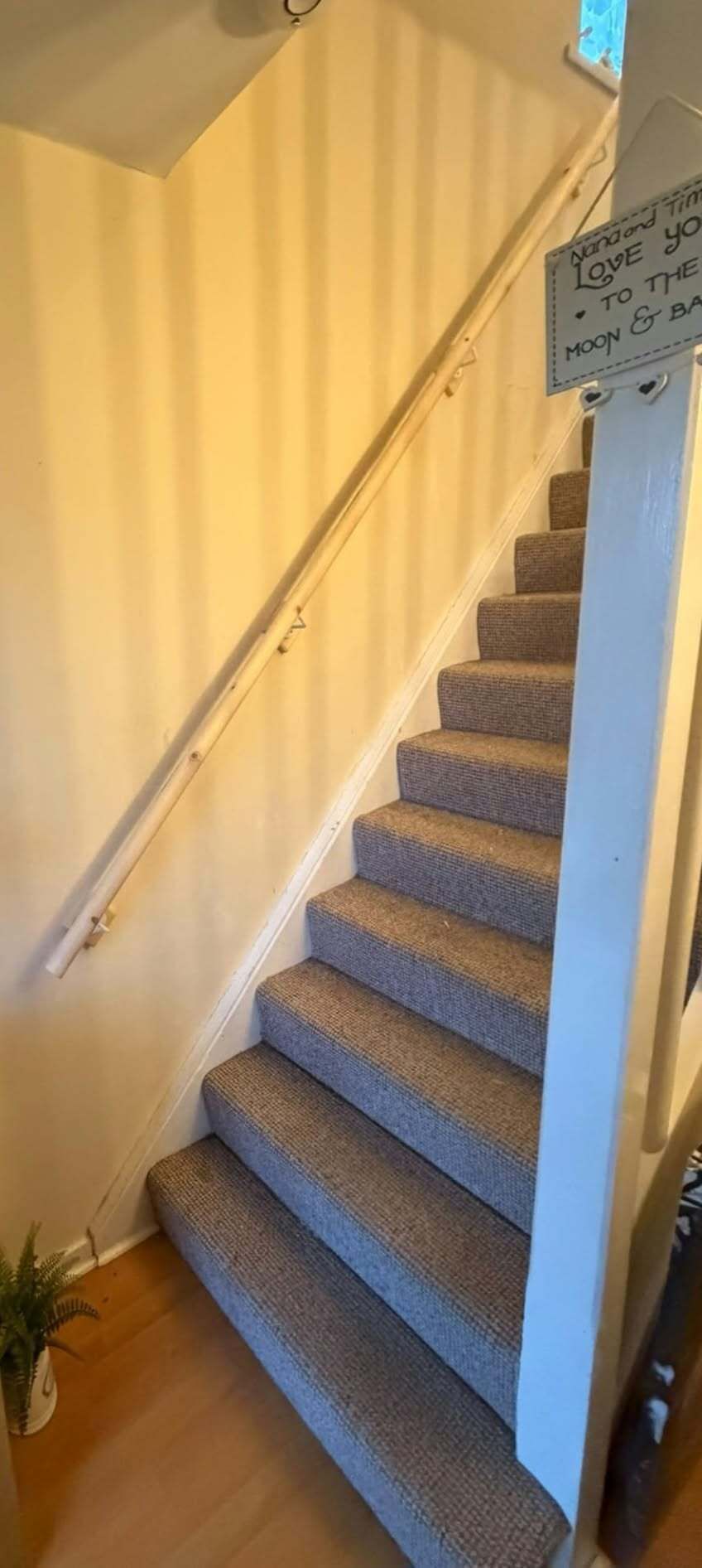 Carpeted indoor staircase with white walls and a metal handrail, lit by sunlight.