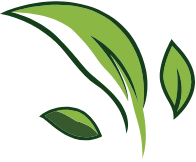 Stylized green leaf logo with three curved leaves on a white background