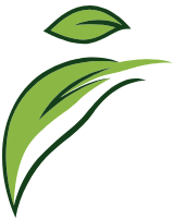 Stylized green leaf-like human figure logo on a white background