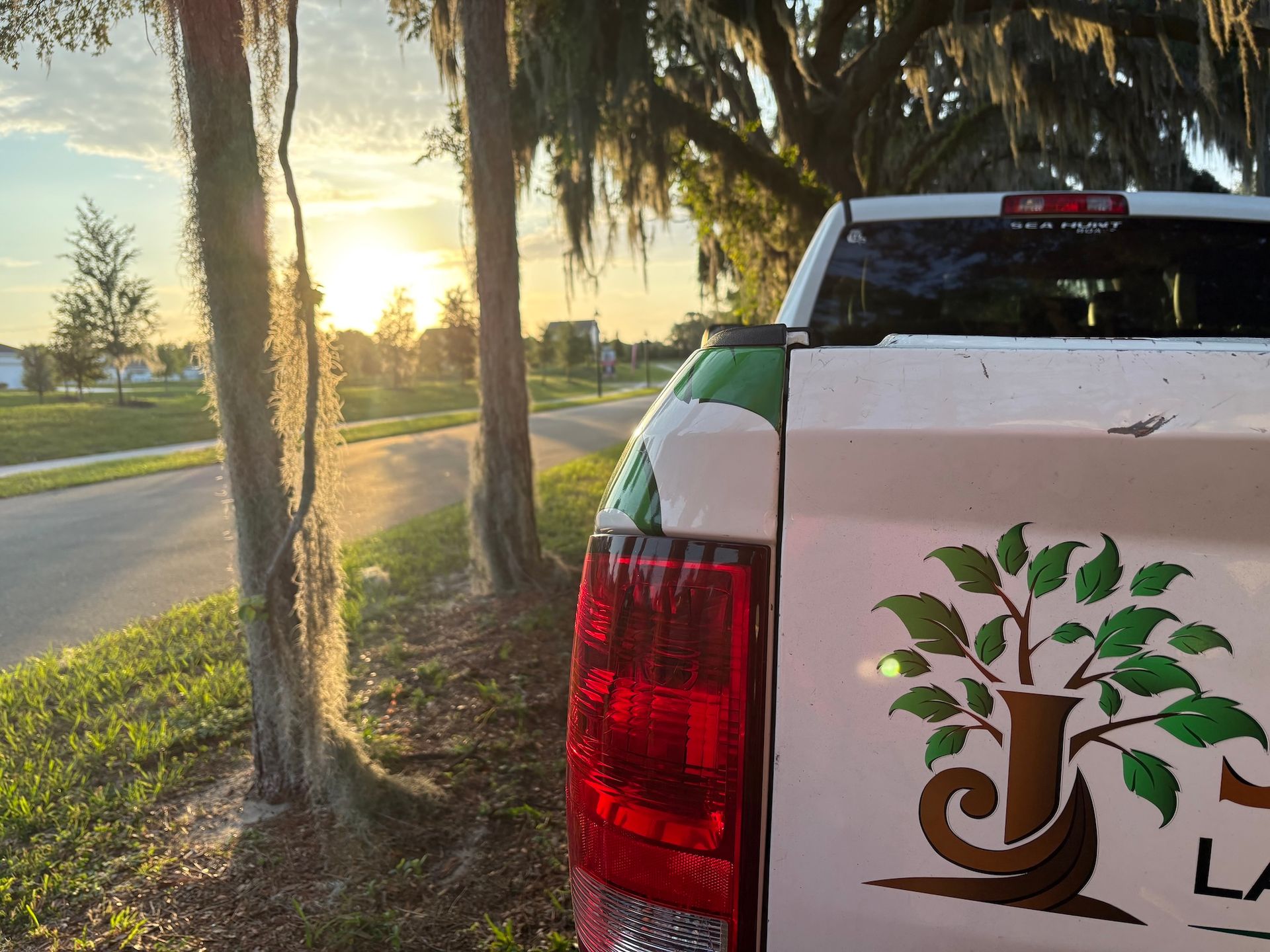 Pickup truck by a palm-lined road at sunset, with a tree logo on the tailgate.