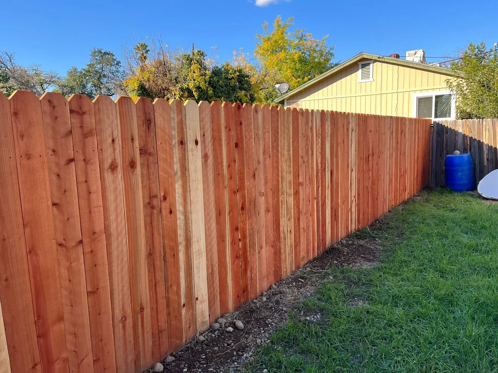 Red wood picket fence in a backyard, with a house in the background and a blue sky.