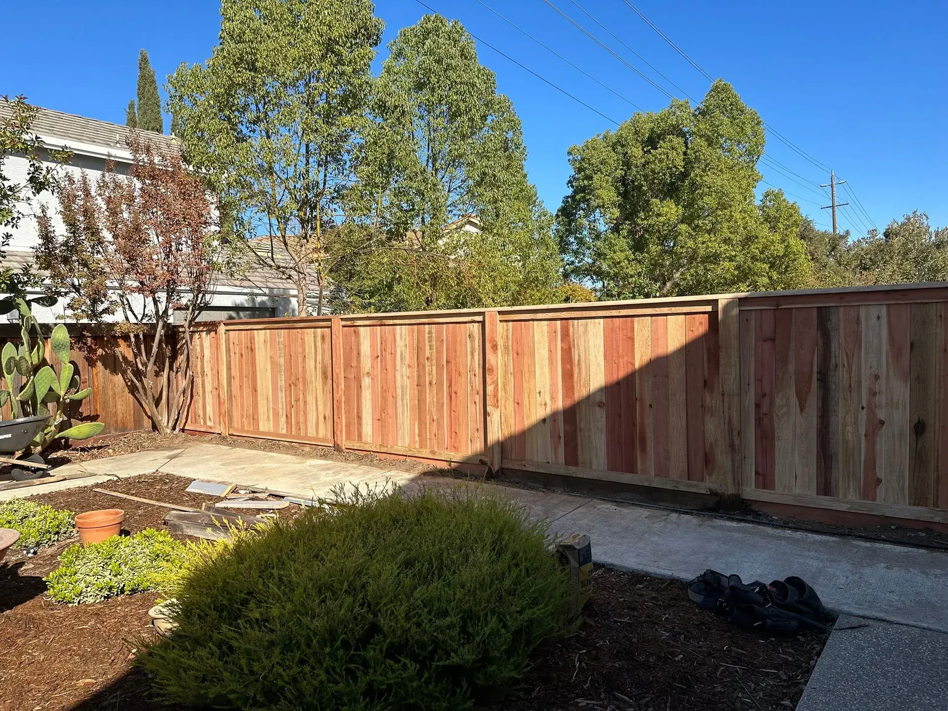 Wooden fence in a backyard, with sunlight casting shadows. Green bush and trees are also visible.