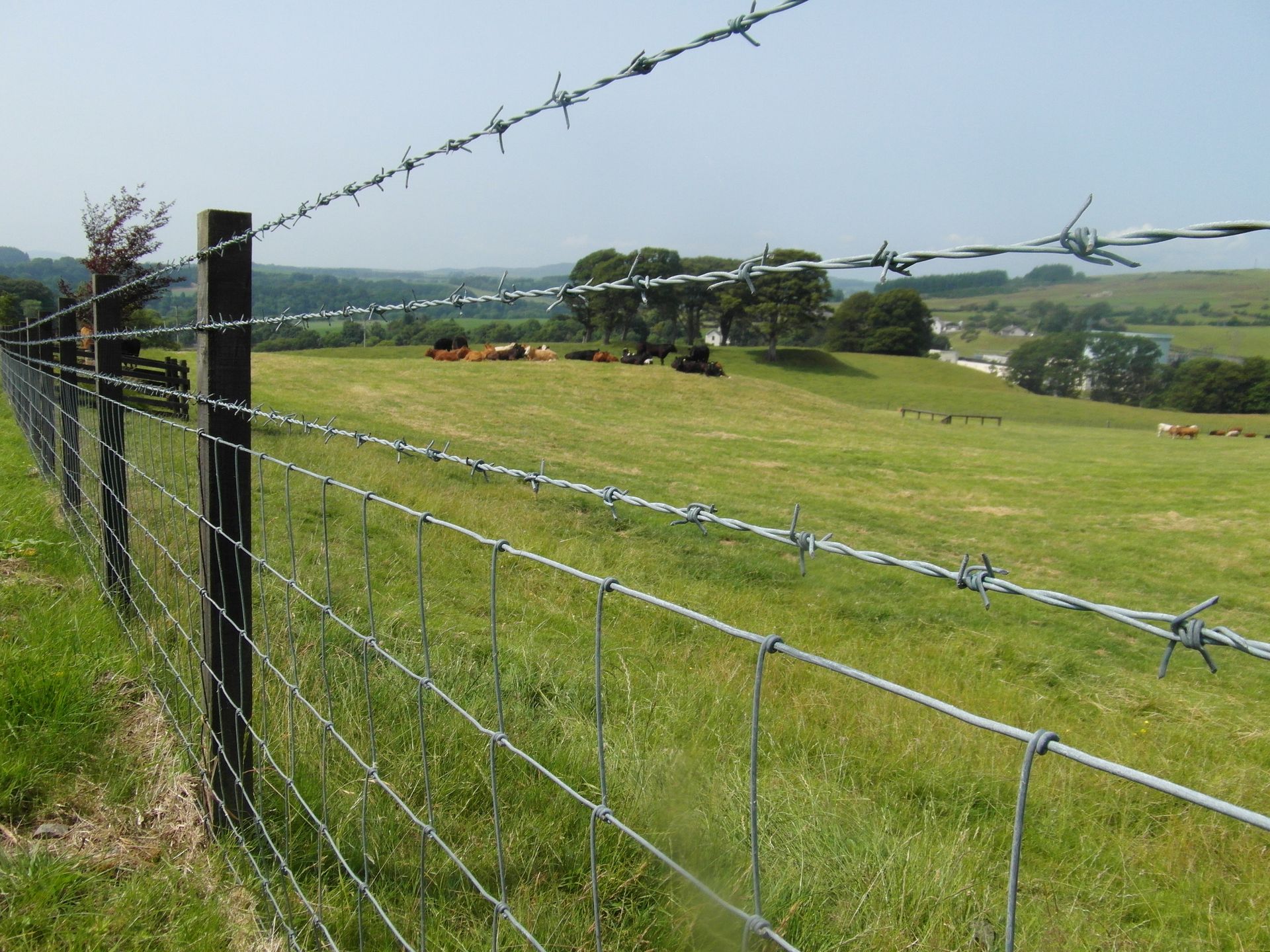 Wooden fence in a backyard with green grass and a house under a blue sky.