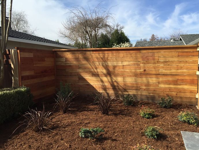 Wooden privacy fence in a backyard with small bushes and mulch.