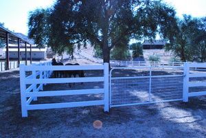 Wooden gate with vertical boards, part of a wire fence; trees in background.